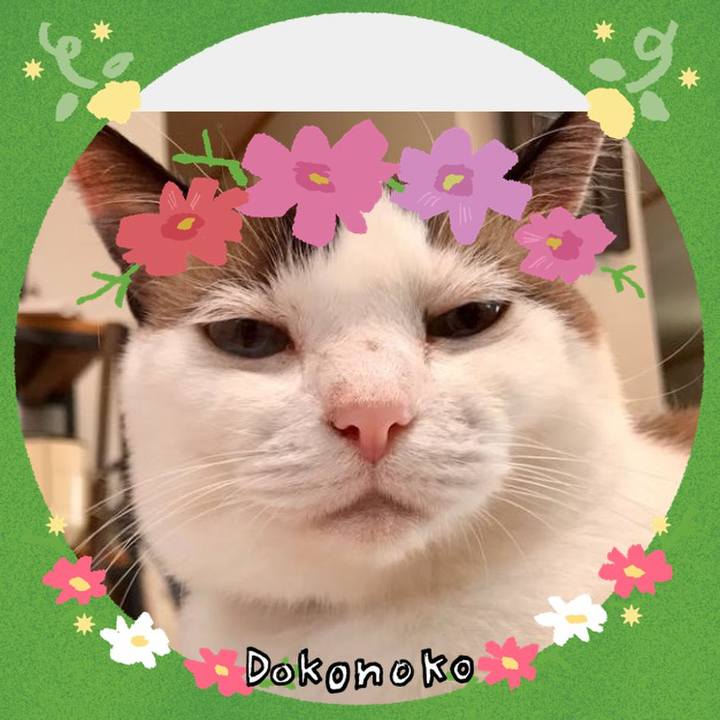 6c5b6b48 a255 426e 8a58 4431d1faf882 1726879335727