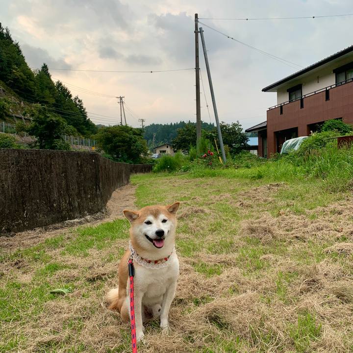 6c5b86be 6b1f 4e6a 9e05 9d7c51276c6c 1663143697125