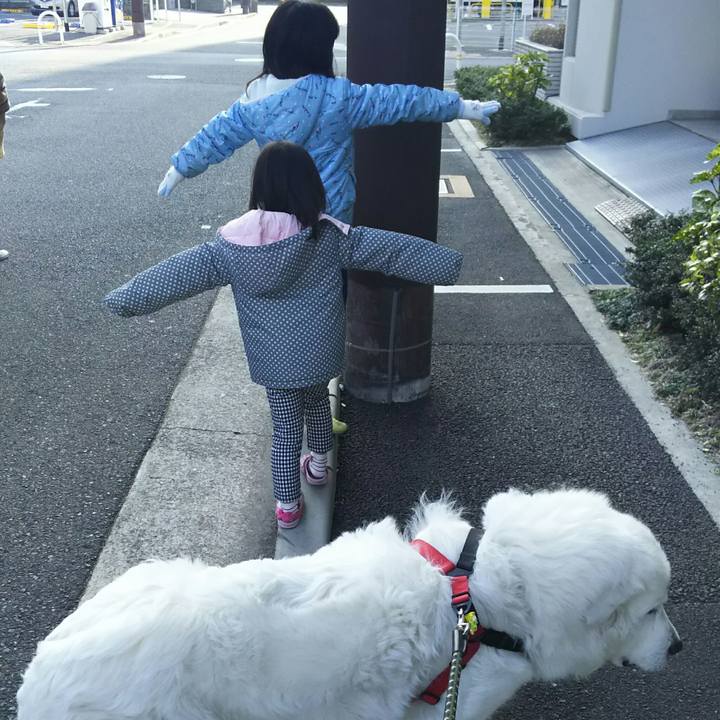 6c5ba919 0912 4781 b29a 631ea16d82a8 1516494417397