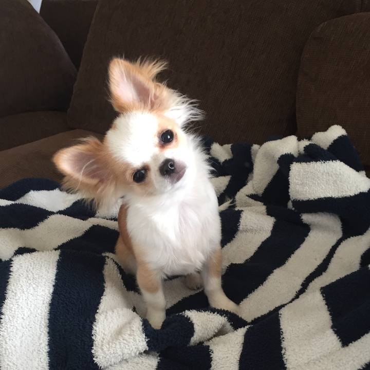 6c5be555 7dfb 4bd3 92cd 43b16c34ac9e 1523433783690