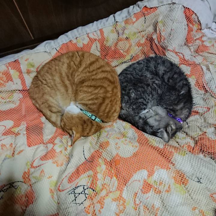 6c5c45c7 b290 4035 b552 42f2bde558e1 1580473414968