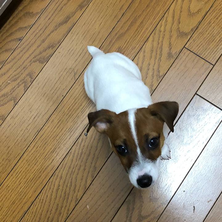 6c5c5a36 5dc4 485e bb78 840a126926f2 1513207657657