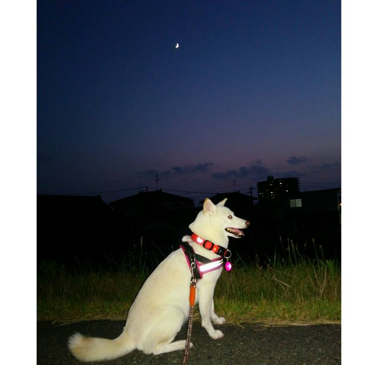 6c5cd6b8 e6d2 4de1 8bb9 03d0b1fd7fdf 1565002460658