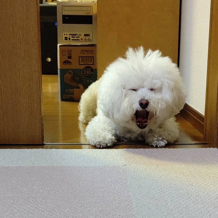 6c5ce4cd 328d 4057 a097 fddb5c43d879 1603513245160