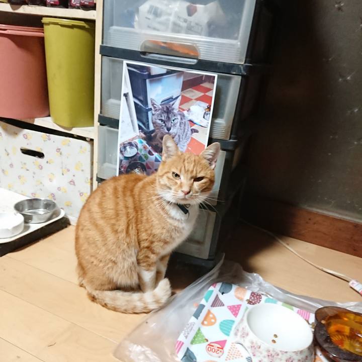 6c5cfc78 53ac 41e2 83e6 eae59dfe2f5c 1601587709400