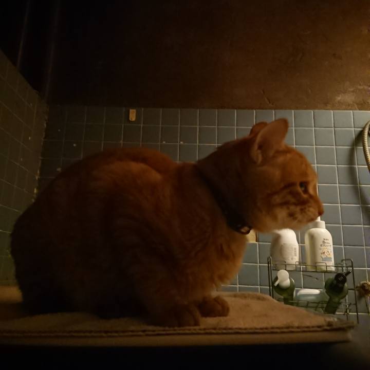 6c5d1c44 f160 4be0 833b 3ae48339d585 1637922021843