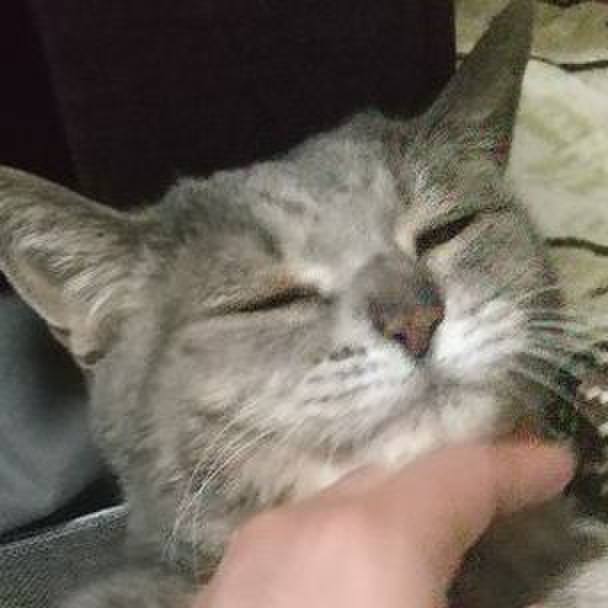 6c5d28af a805 4816 a9cd 1d0351714116 1668928850941