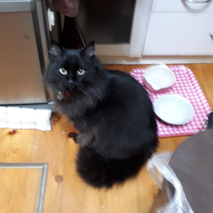 6c5d4be1 a6a2 4e60 960d bba4675d52a7 1522011417877