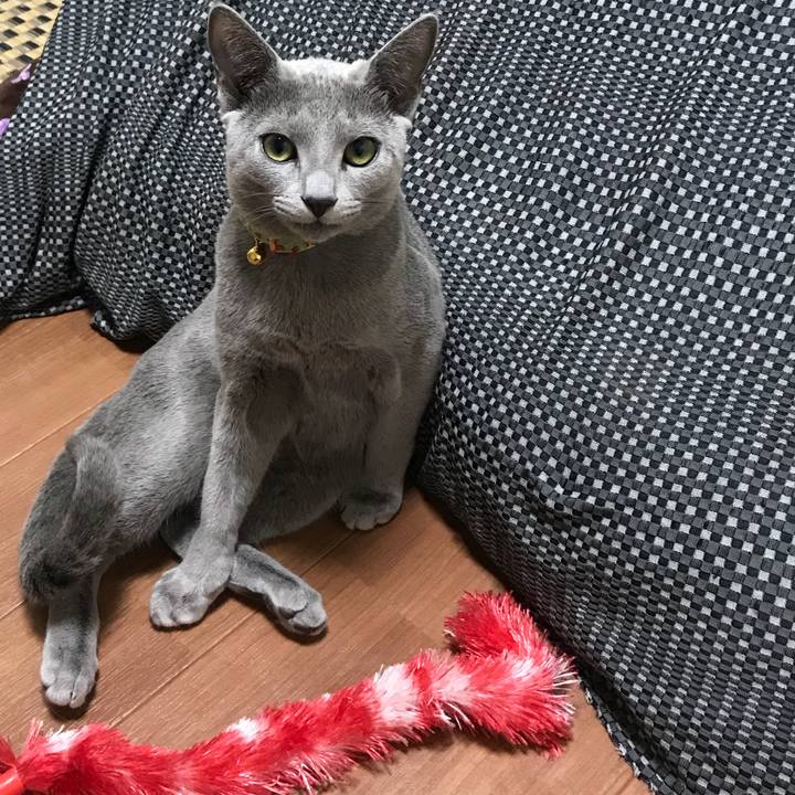 6c5d5080 9eda 4bc8 894d ed485c9db7b7 1511693873362