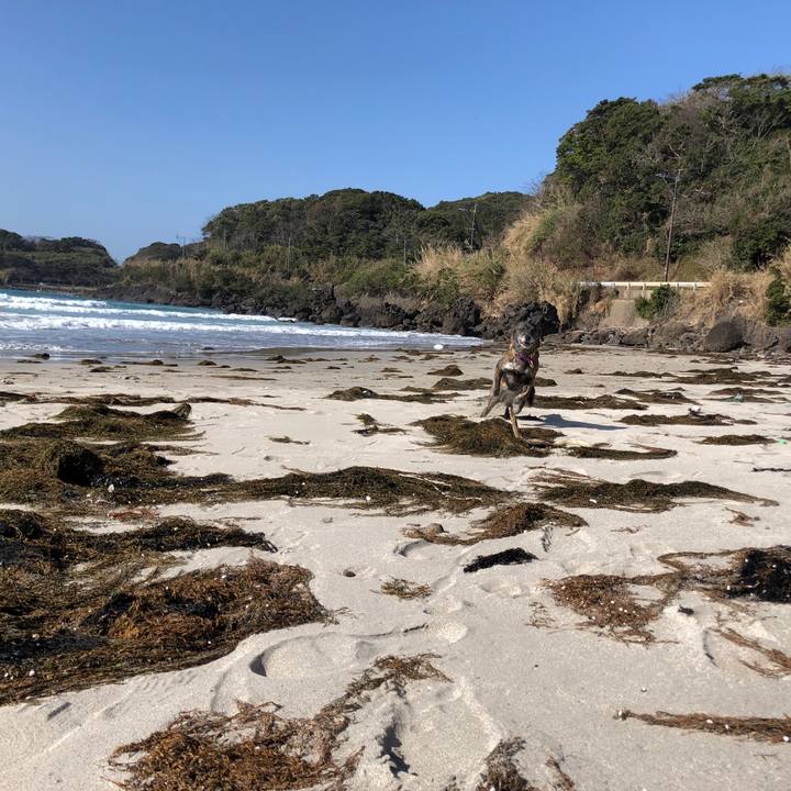 6c5d602d 26c2 4eb3 895d 61cebd0cd2e0 1615903699087