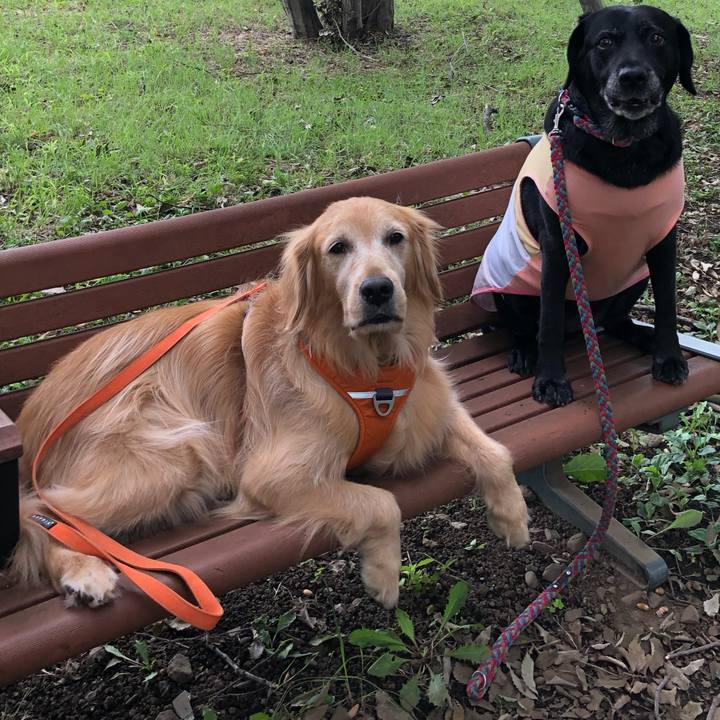 6c5d9db7 09c9 47a1 b7d7 383a15b67340 1568340167238