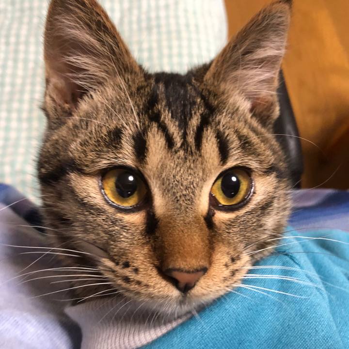 6c5dc49b 1670 4f39 8340 c185fe4716db 1736939611029