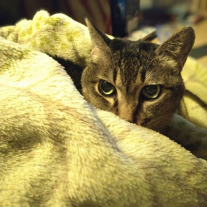 6c5dfbe9 6b3e 4d3e b8e4 3172cd39f539 1730720878459