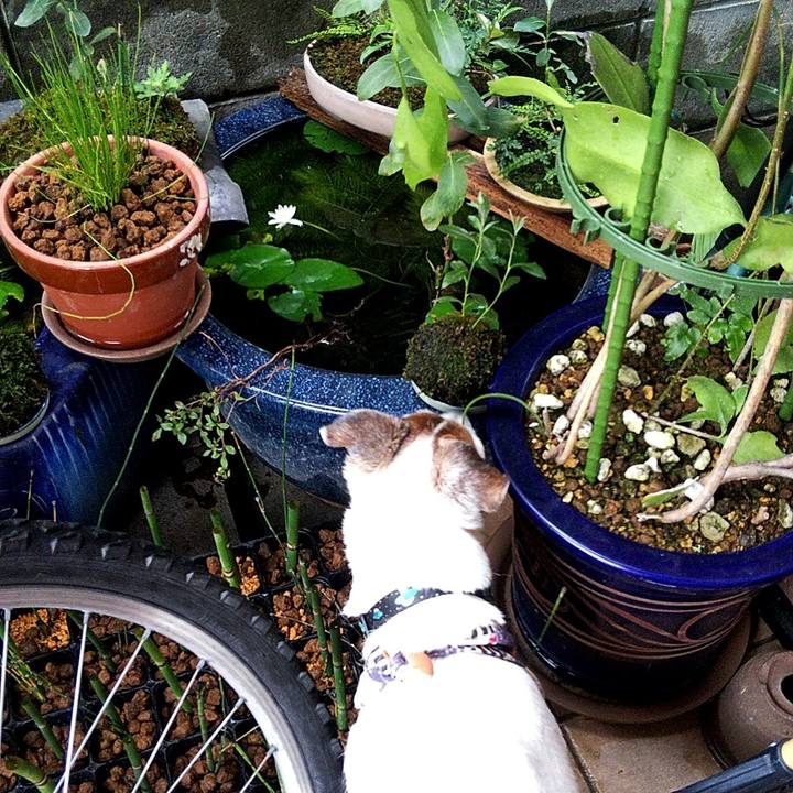 6c5e4996 406f 472d 8c46 5c5caca2f26c 1567234979227