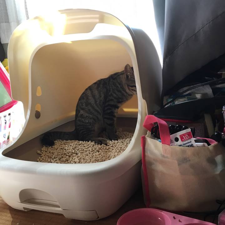 6c5e560d f3bc 4cda a0bd 0adc30e69ffe 1536764739091