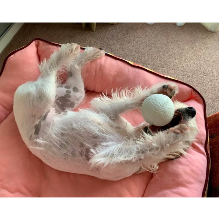 6c5e81d1 7270 4bef 8cc4 ec8bcb02d462 1597229573814