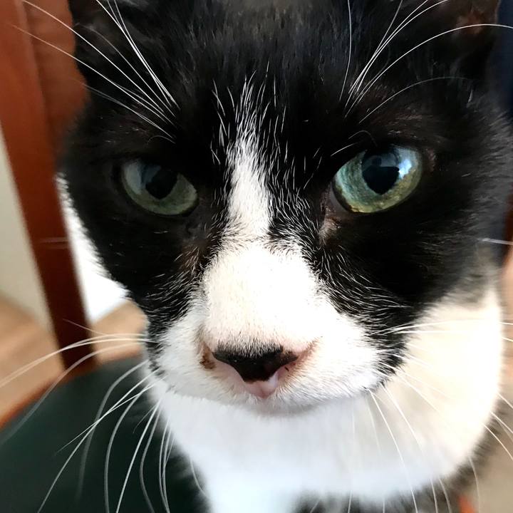 6c5e88a3 36ca 40ba 8bdf 385cbab7ffc6 1520226459811