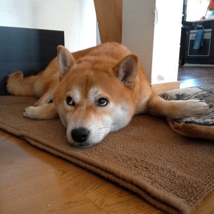 6c5e8c57 ab01 446a 8c96 81a8680aab86 1516776392600