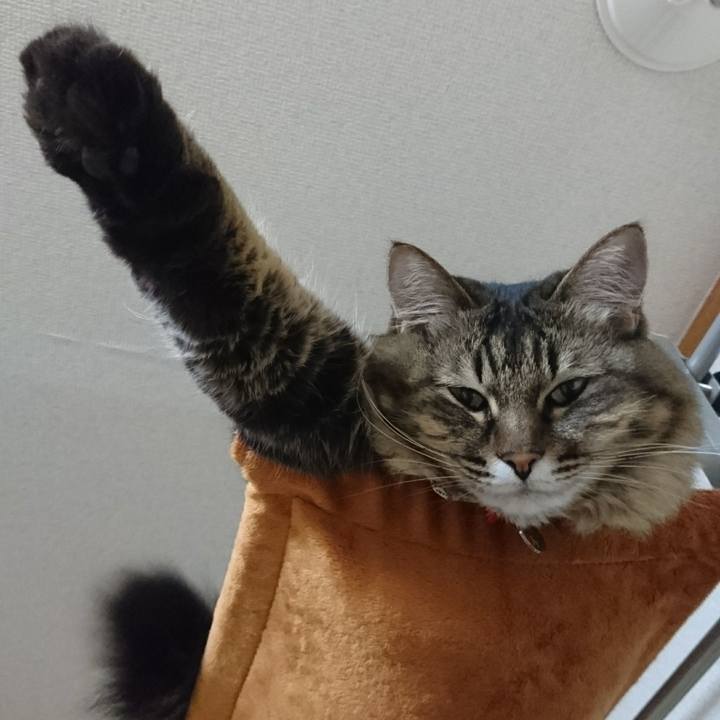 6c5eabc0 241a 4bb8 a19e be903b9a80eb 1514215063196