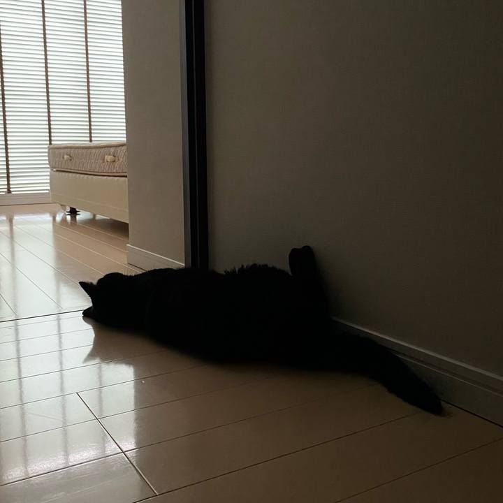 6c5ed57d 0f6f 48ba bcb2 c114353212be 1753259865640