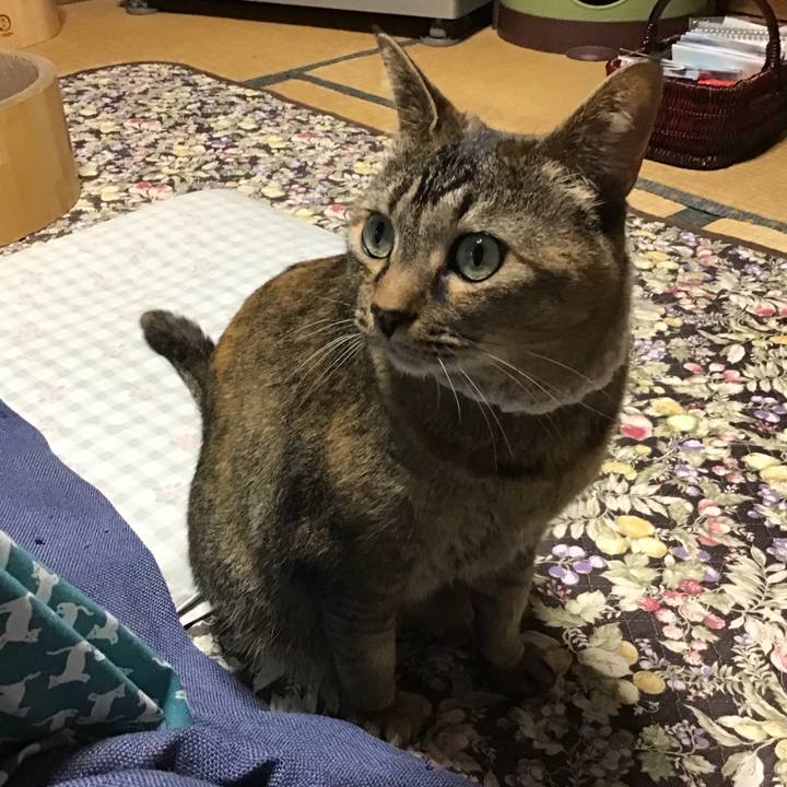 6c5f03fe 82da 46a4 8cc0 a5a9543e0a64 1748424065561