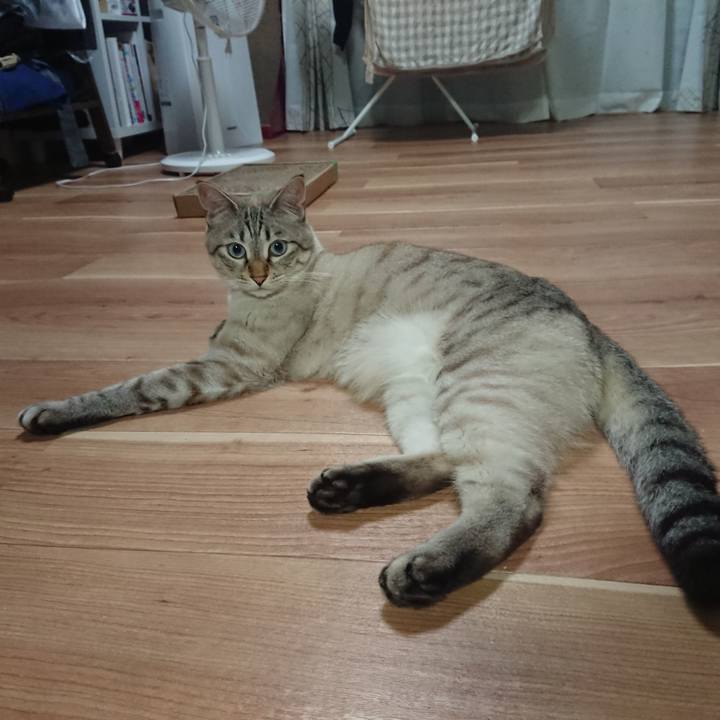 6c5fa8e5 0a20 4bee a091 b3fd79f0ceb9 1527335937575