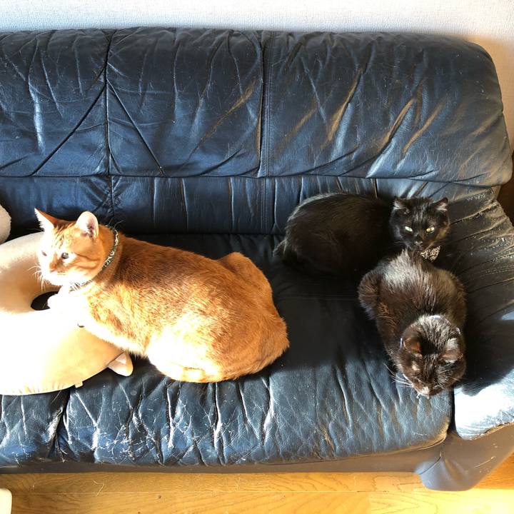 6c5fb9e7 73fb 41c5 a009 ac016f087a4f 1555018268802