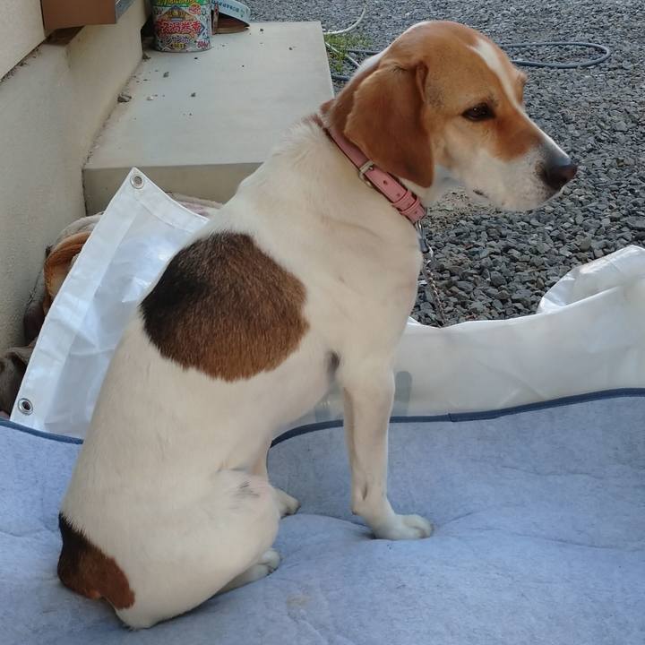 6c5fd0d6 f605 4a99 8b47 eb7ab78bf2f2 1586853991016