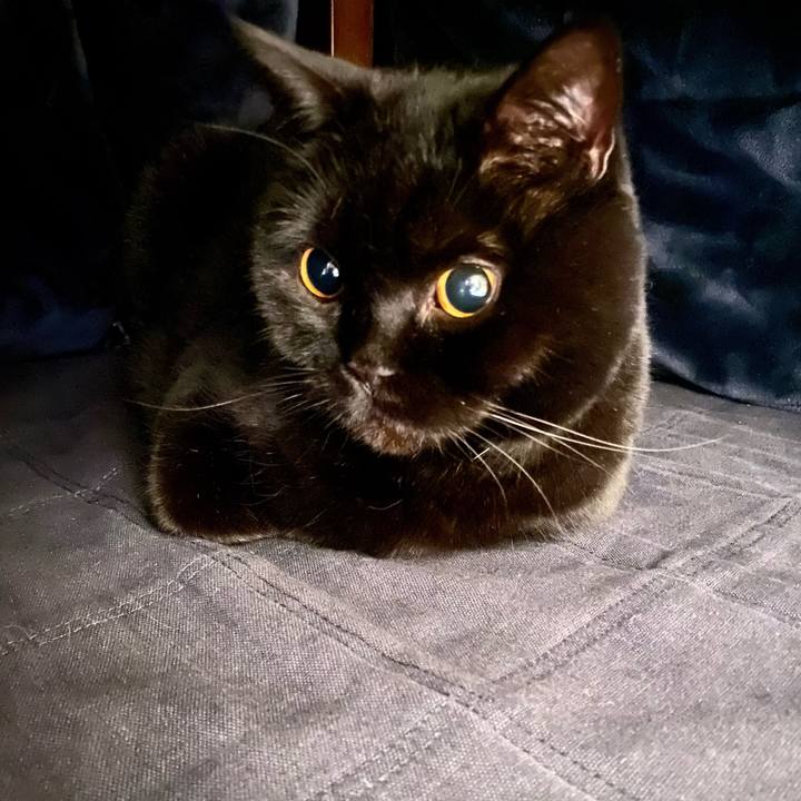 6c5fdb3d 62dd 4c03 a2cc c9e74b68cf84 1767958830994