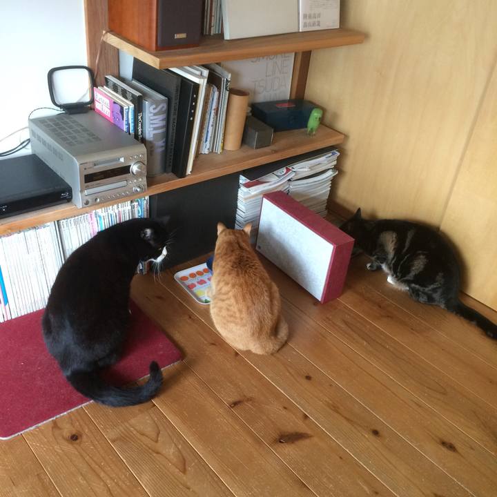 6c600ed5 5bc1 41a7 8e8c 17d6b05548b8 1519906413282