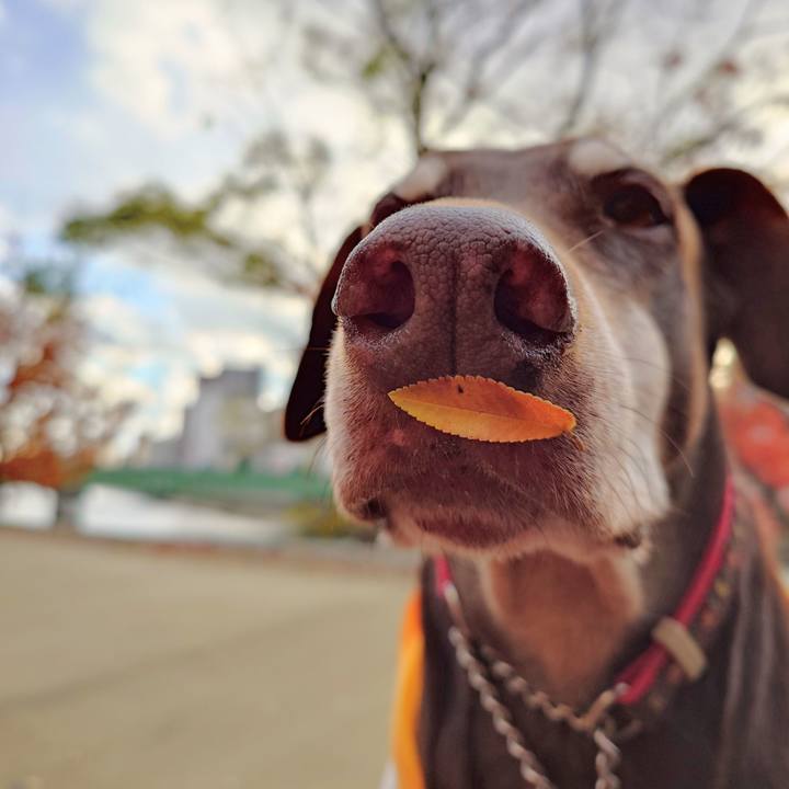 6c602b2f dba8 4720 a94e 02757d5da360 1764914796674