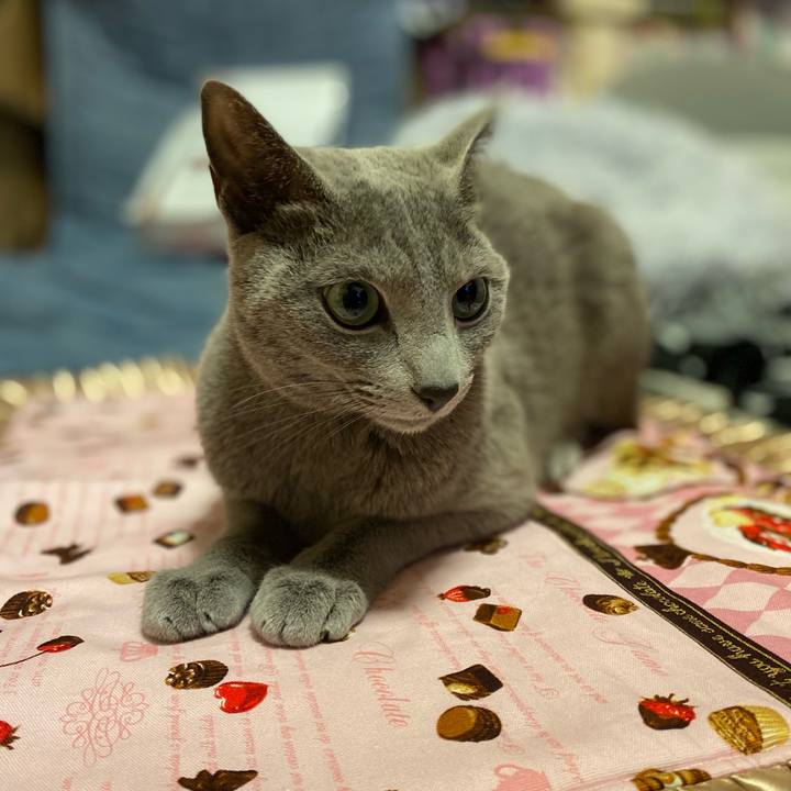 6c602b64 f7cd 4d6a 8e1f 22bf60c3ace6 1674301279854