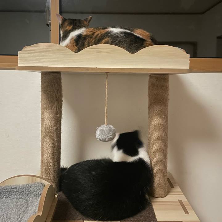 6c602f9d 8743 41a6 9a40 e245984bcd1d 1661101878462