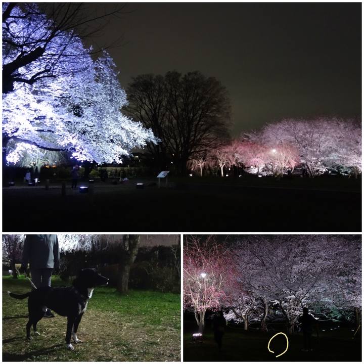 6c604c74 3ed6 4d0e bd60 6c9a4f24c772 1648549613332