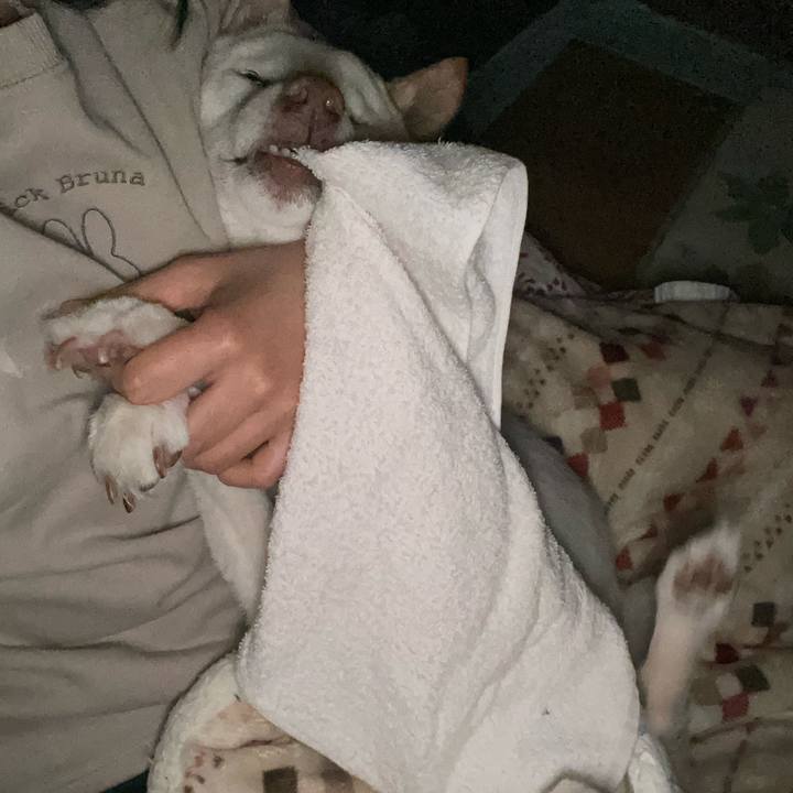 6c6098a0 4efd 46bd a336 12ca65451fa1 1674422580848