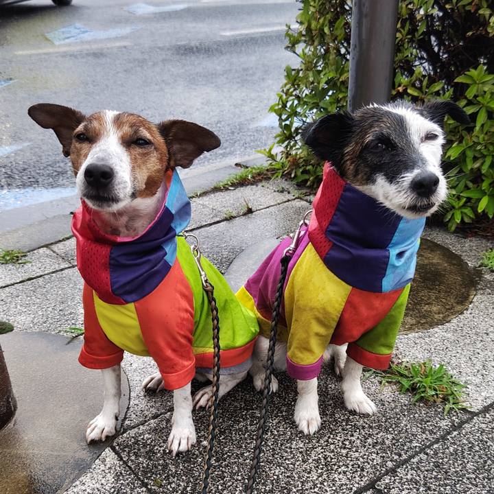 6c60a4f0 7636 4f7b acdc db103f2e8c4d 1749507217579