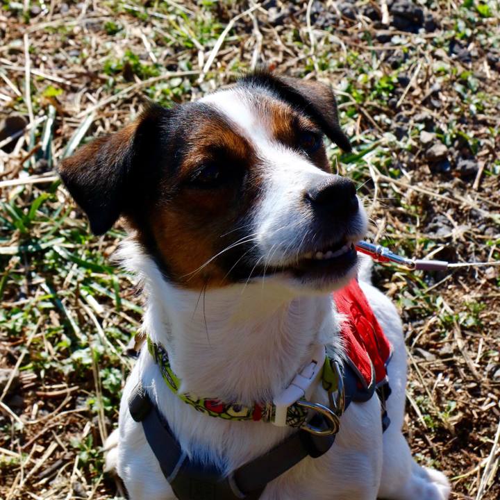 6c60c32e f7da 4fcf 9693 39dc0fc2db56 1544863807124