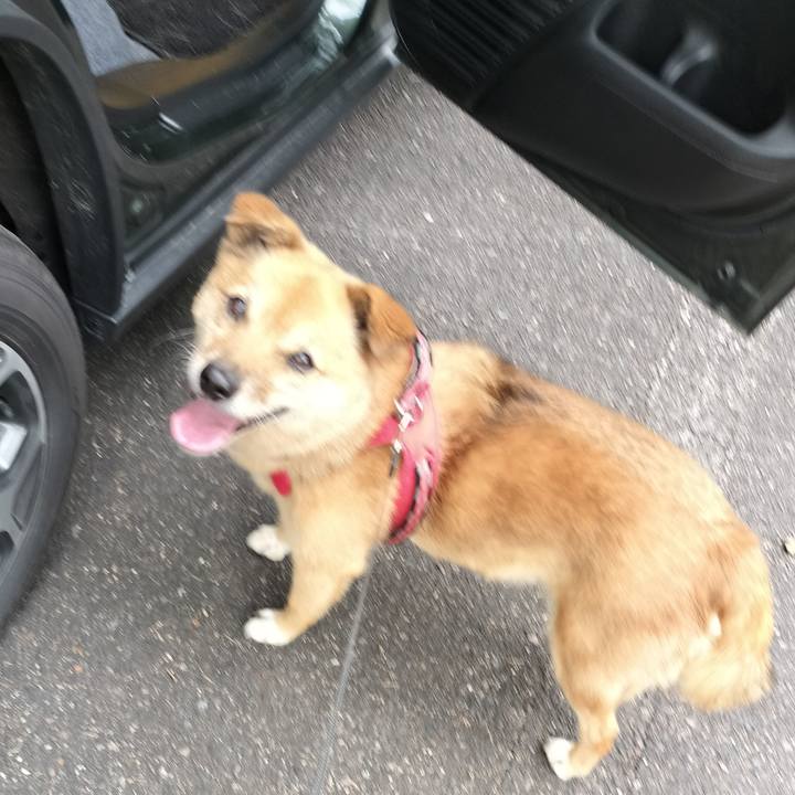 6c60c456 42a1 49f0 aeae 904d6695d3dd 1724586811733