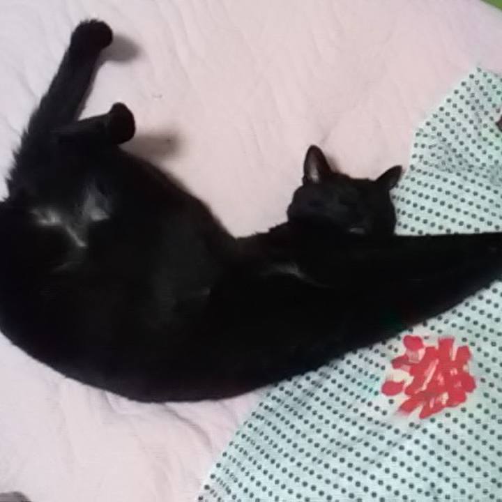 6c60e204 4f90 439e 805b 825527695e7b 1563708722358