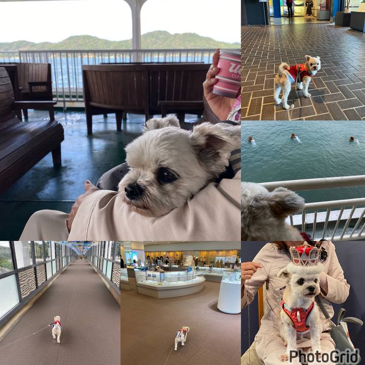 6c60f05a 92a6 4bd0 b870 7246729ef641 1699787349287