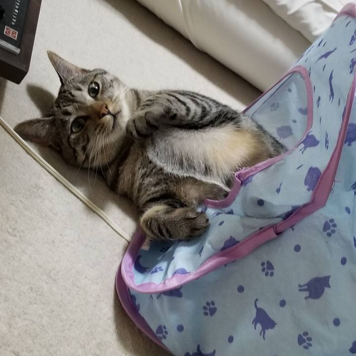 6c6120a5 2060 4443 8df5 55eaf3d08cd6 1690340574576