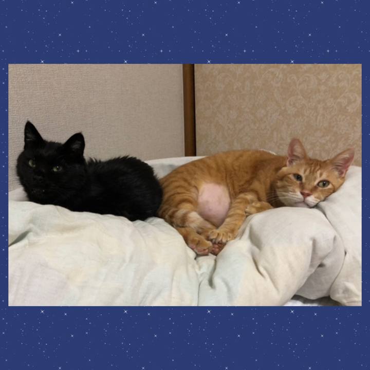 6c612a67 b9c6 49e3 a38a 108b192ca664 1632926916202