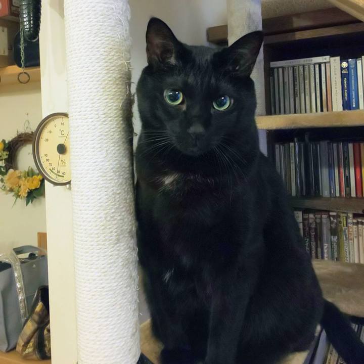 6c613c0d e7d5 45b7 a156 0cab9bffd88e 1765493306081