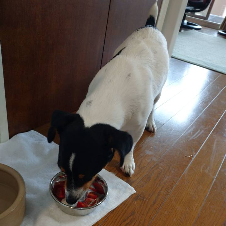 6c6140e4 3315 47e8 b1c0 9355bbafe9d4 1591237141174