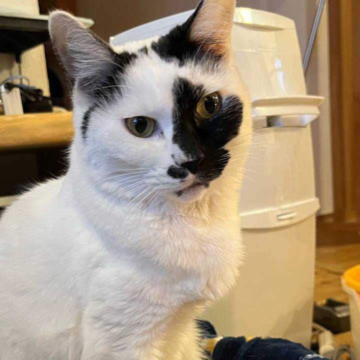 6c617bb1 c92f 4409 aa5a 825139854b0c 1770990705001