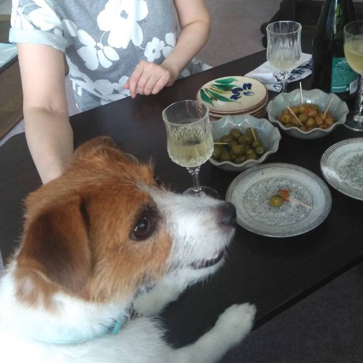 6c617d22 ca04 4393 b64f 06995ad61a5a 1533469641743