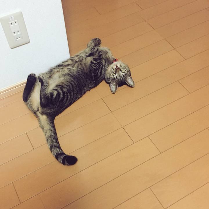 6c618716 583b 4cce a2da 2d60ddd2bdca 1508025404793