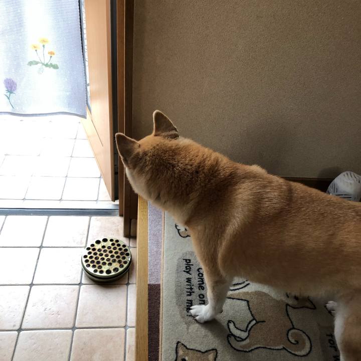 6c61a91e 302b 4ab0 9950 e8e451c7688d 1596972495307