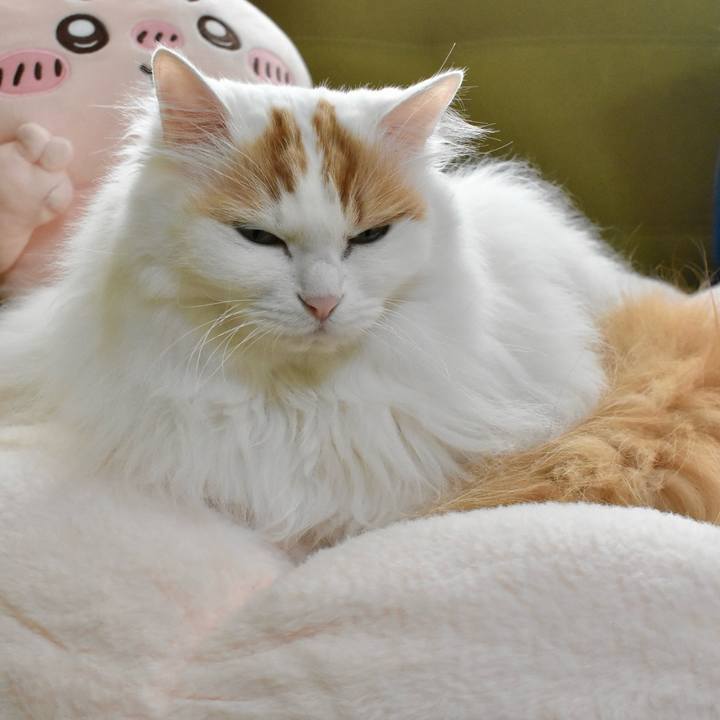 6c61e391 1615 4875 a8ae c29b894857a2 1770524990933