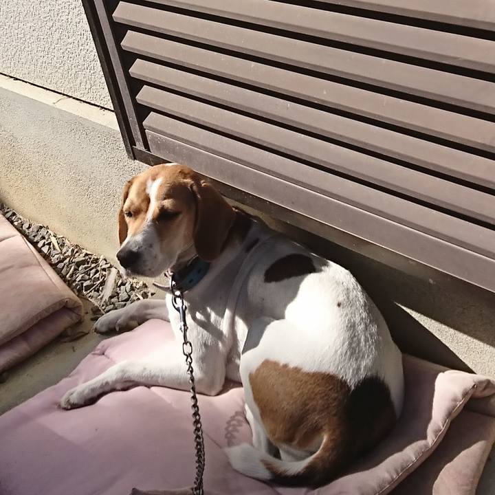 6c62223c 41d9 4efe 860d 9fea8f9c2255 1572233402331